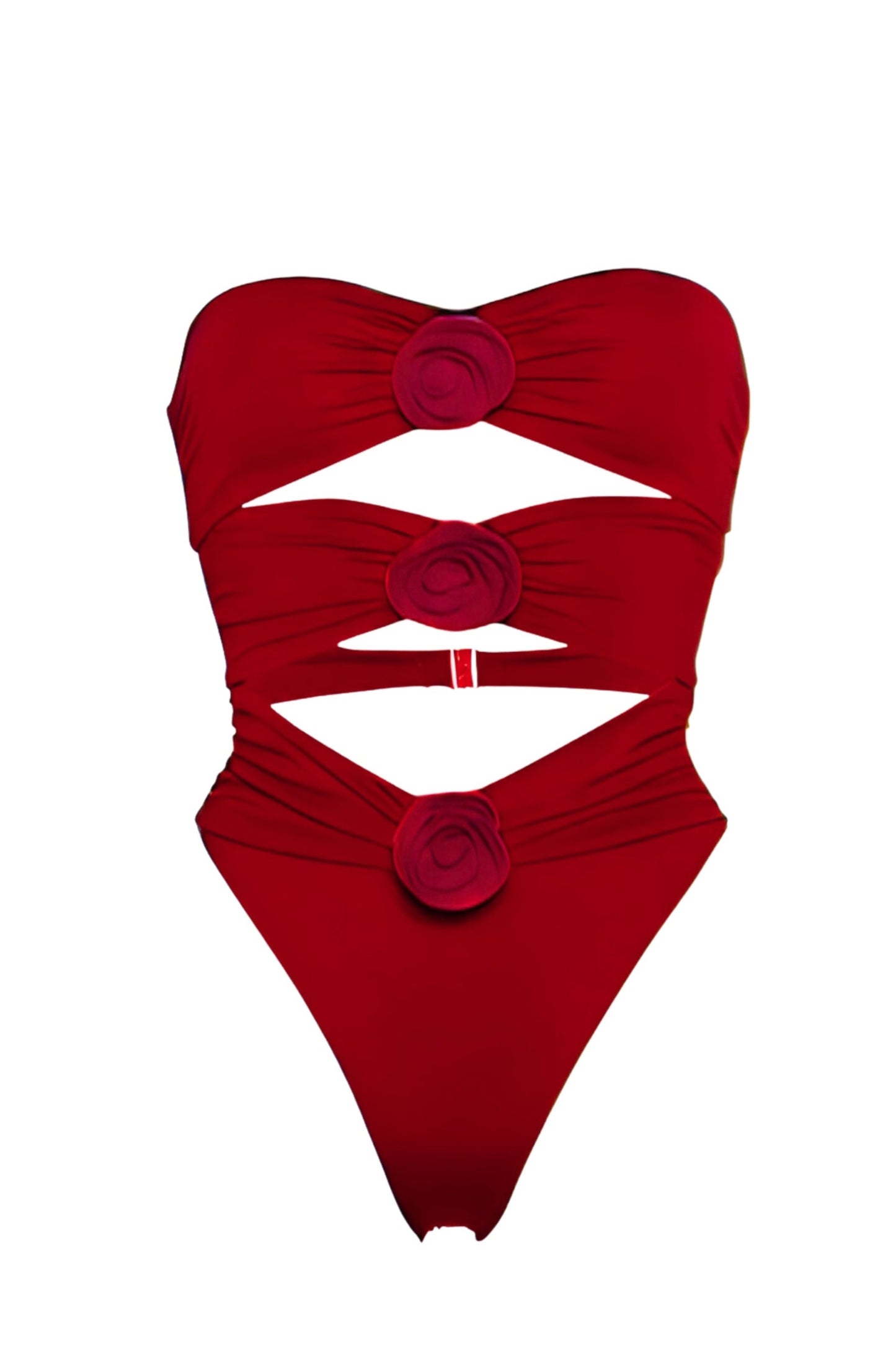 WILD ROSES SWIMSUIT