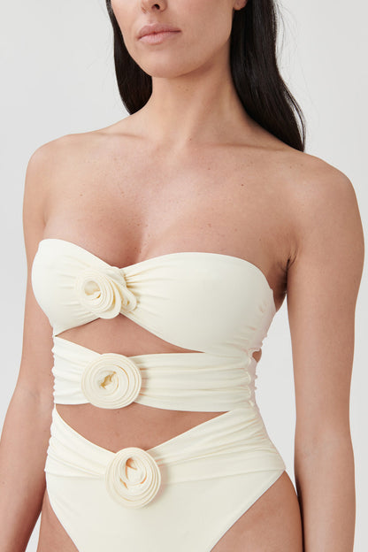 WILD ROSES SWIMSUIT